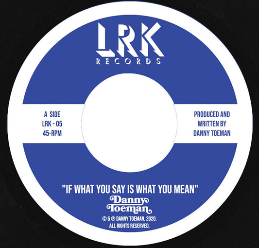 Danny Toeman - If What You Say Is What You Mean - LRK Records
